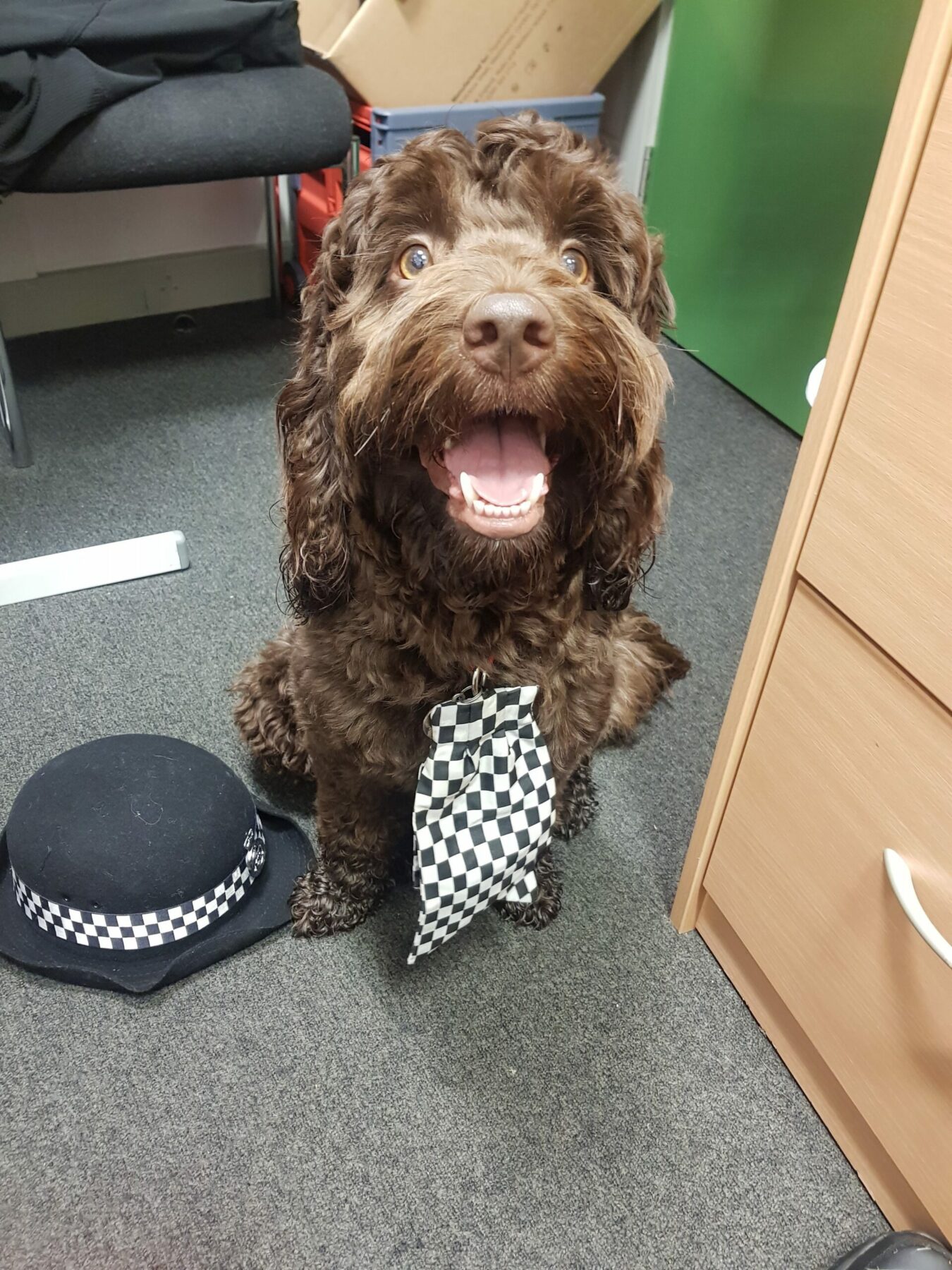 Rolo 2